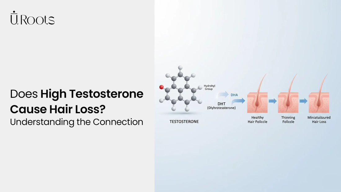 Illustration showing the impact of DHT on hair follicles, highlighting the process of follicle miniaturization and hair thinning caused by high testosterone.