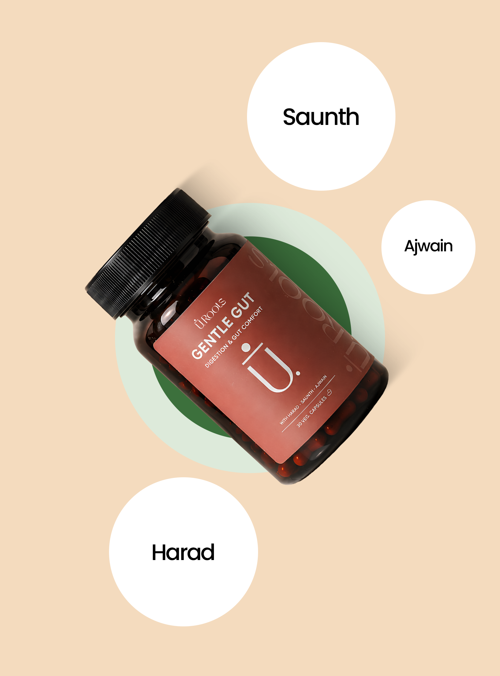 Key Ingredients