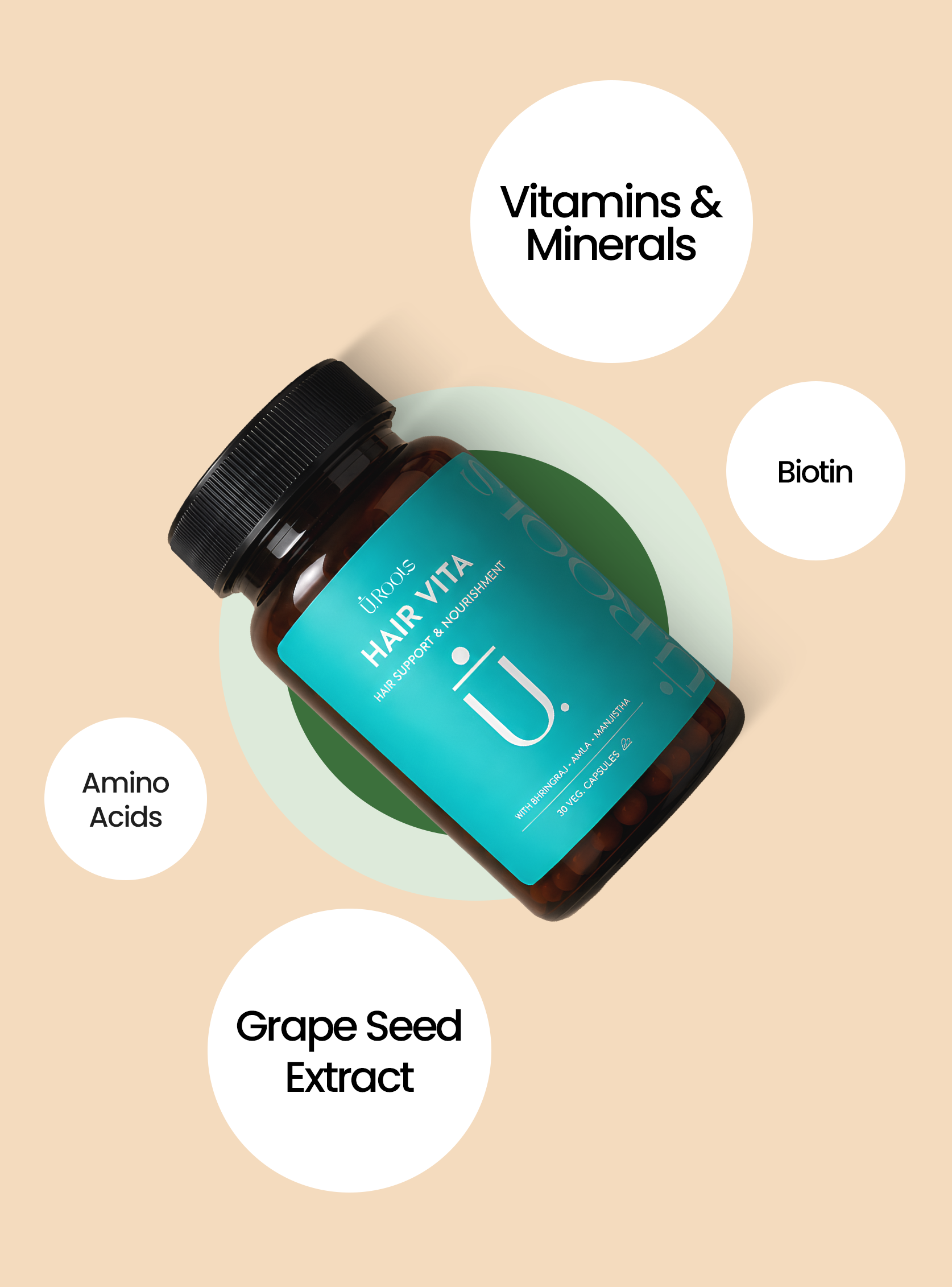 Key Ingredients